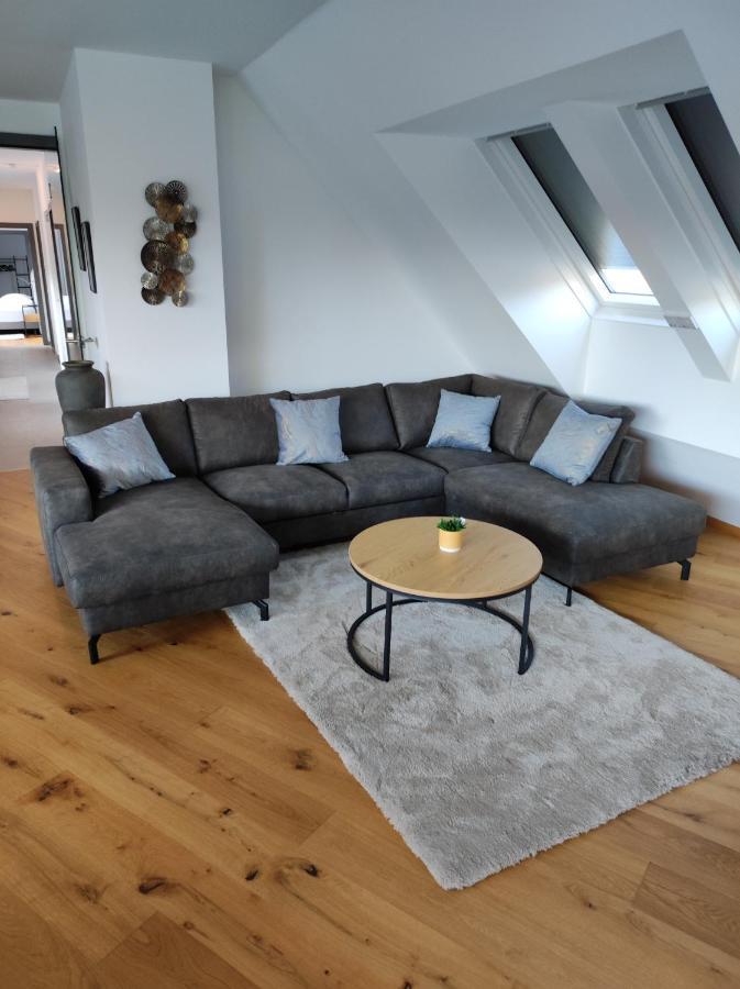 Luxurioeses Penthouse Mit Blick Auf Uno-city Und Dem Kaiserwasser. 3schlafzimmer, 2 Baeder, Privat Lift Ins * Vienna